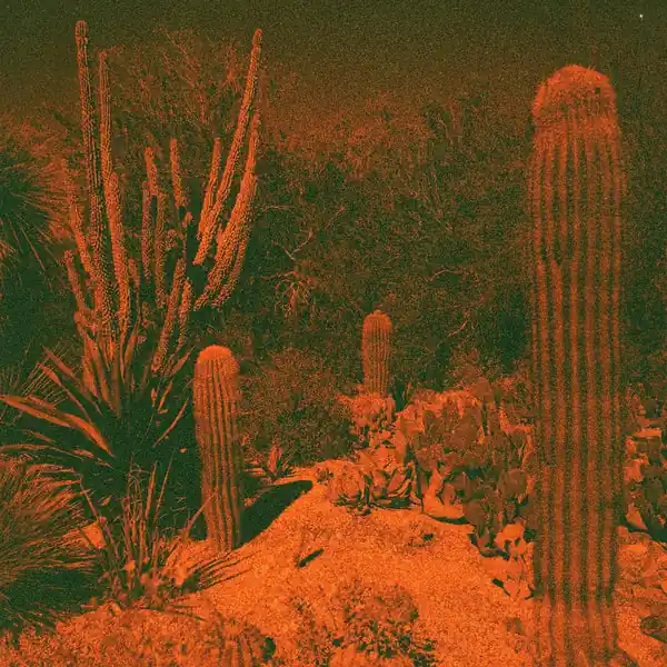Cameron & Eli Winter Knowler - Anticipation (Indie Exclusive Purple Vinyl) ((Vinyl)) Low Price
