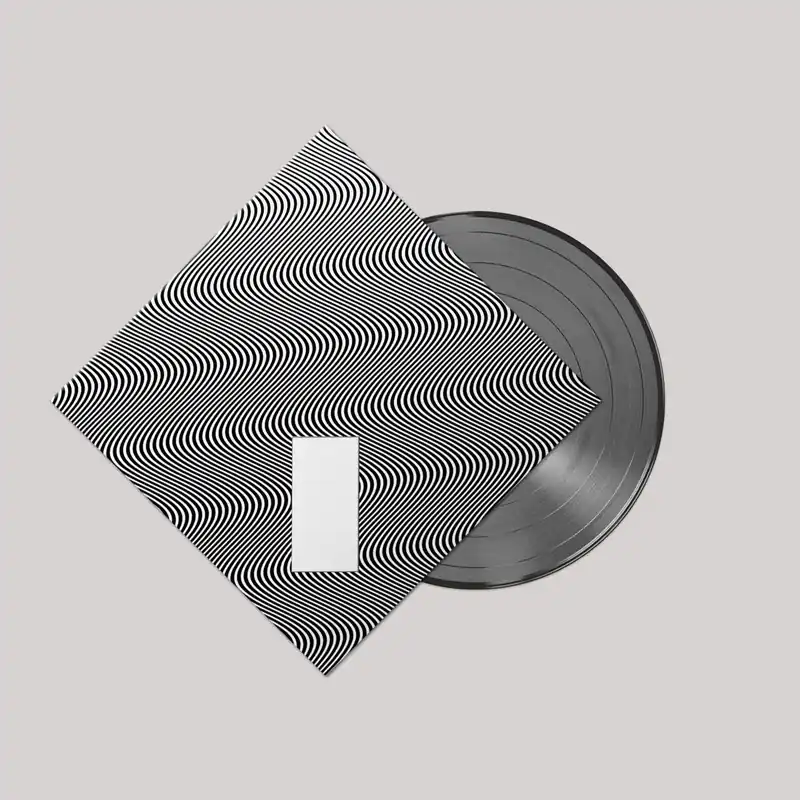 JAMIE XX In Waves LP Professional Grade