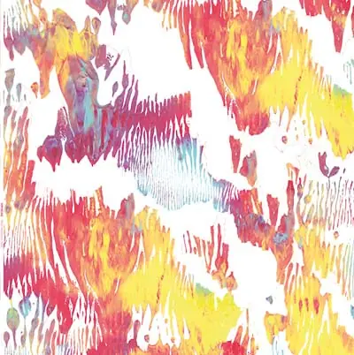 Brand New XIPHIIDAE - Pass Hidingly Seek ((Vinyl))