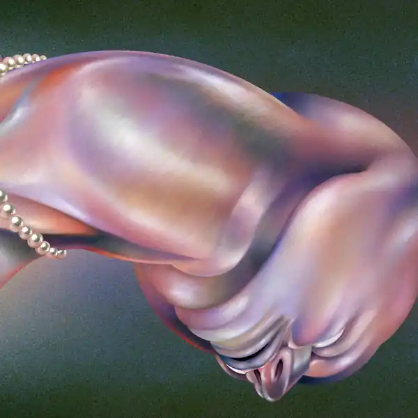 Limited Offer Walt Disco - The Warping (MILKY CLEAR TRANSPARENT VINYL) ((Vinyl))