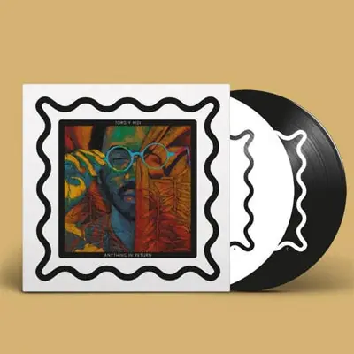 Direct From Factory Toro Y Moi - Anything In Return (10th Anniversary 2LP Picture Disc Vinyl)
